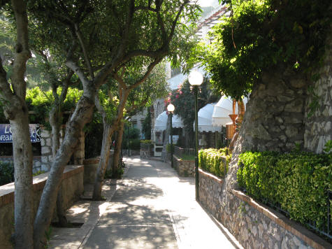 Hotels in the Town of Capri